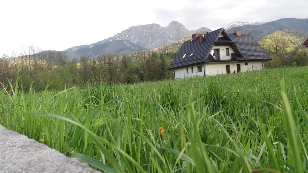 Willa W Dolinie Cichej Wody Zakopane Ngoại thất bức ảnh